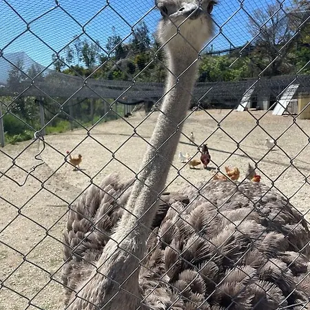 Zevari With Amazing Views At Zevariclub! * Folhadosa