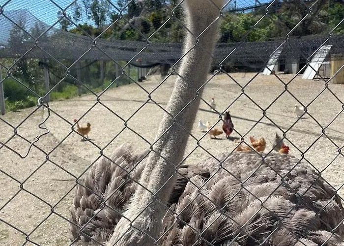 Zevari With Amazing Views At Zevariclub! * Folhadosa